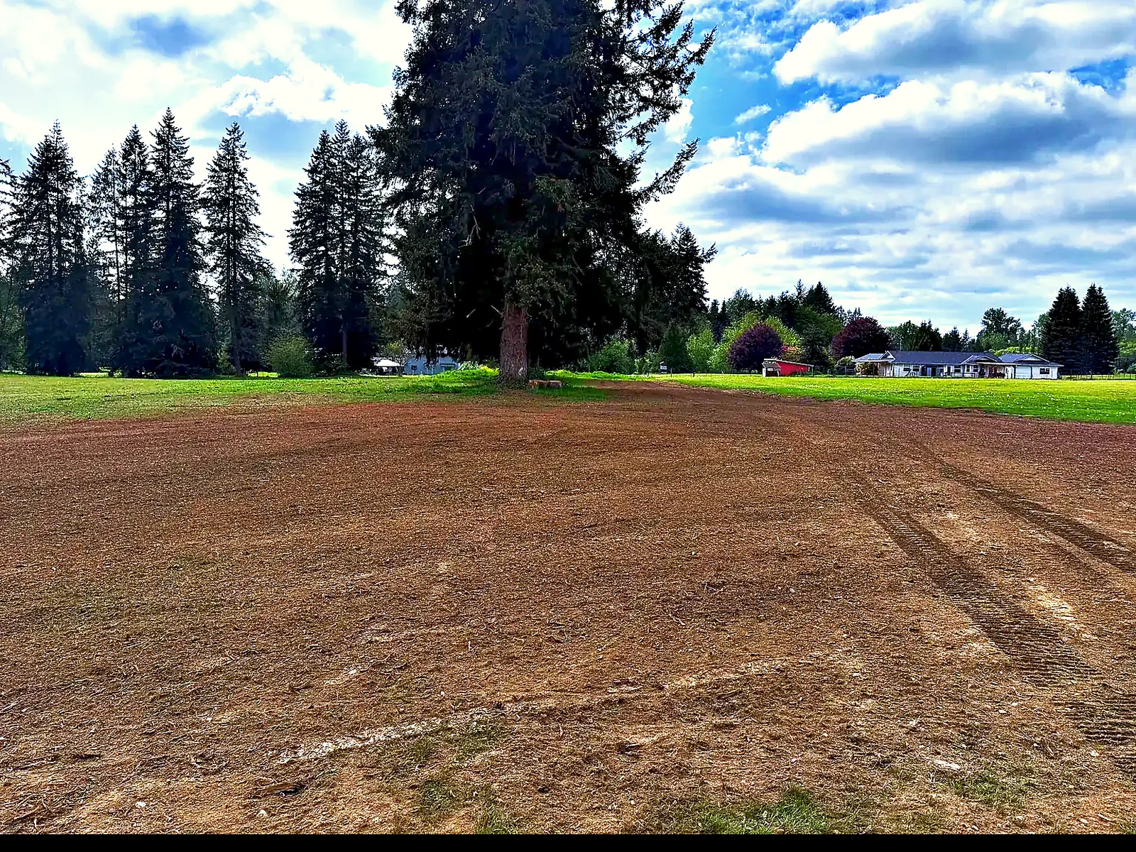 Acres of Western Washington ground returned to clean, even, usable soil after land clearing, with the mature Douglas fir and surrounding evergreen tree line left standing